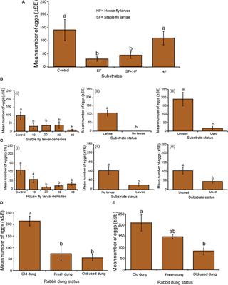 Stable Flies, Stomoxys calcitrans L. (Diptera: Muscidae), Improve Offspring Fitness by Avoiding Oviposition Substrates With Competitors or Parasites